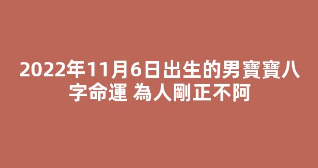 2022年11月6日出生的男寶寶八字命運 為人剛正不阿